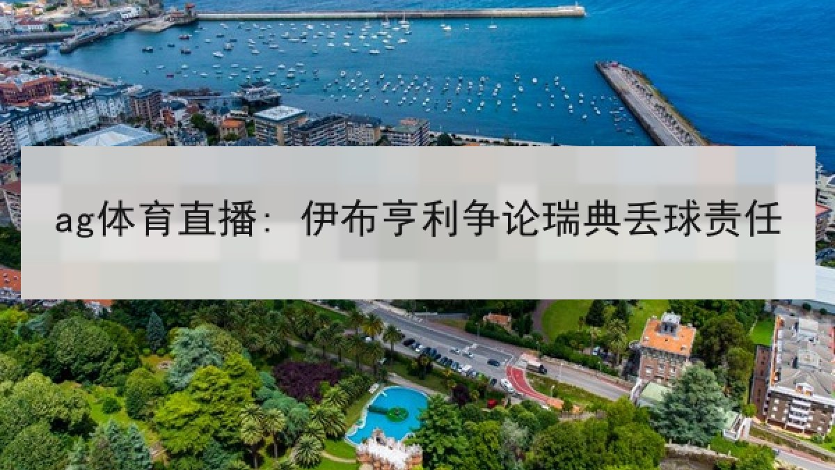 ag体育直播: 伊布亨利争论瑞典丢球责任