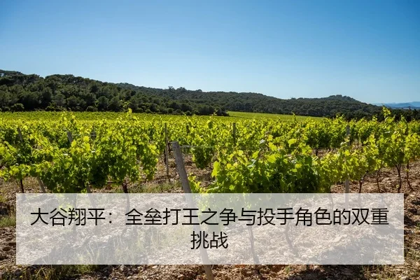 大谷翔平：全垒打王之争与投手角色的双重挑战