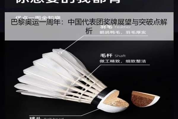 巴黎奥运一周年：中国代表团奖牌展望与突破点解析