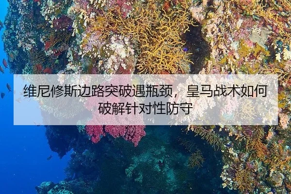 wei-ni-xiu-si-bian-lu-tu-po-yu-ping-jing-huang-ma-zhan-shu-ru-he-po-jie-zhen-dui-xing-fang-shou-2-822.jpg