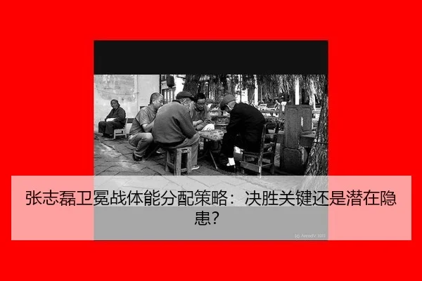 zhang-zhi-lei-wei-mian-zhan-ti-neng-fen-pei-ce-lve-jue-sheng-guan-jian-hai-shi-qian-zai-yin-huan-3-694.jpg